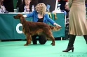 Crufts2011 384